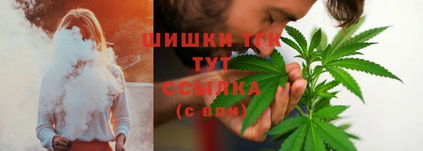 mdpv Елабуга