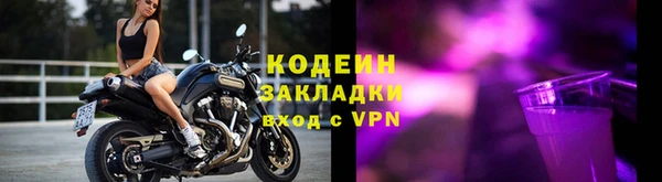 ешки Ельня