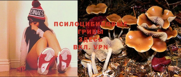 кокаин премиум Елизово