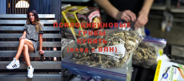 ешки Ельня